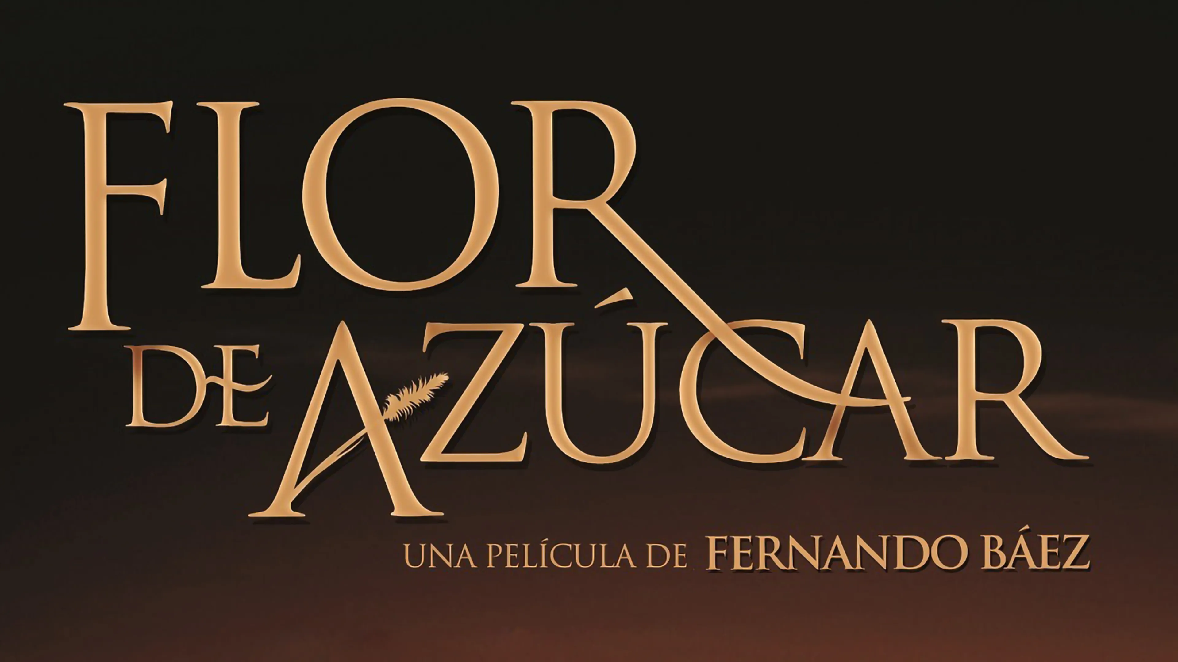 Flor de Azucar poster